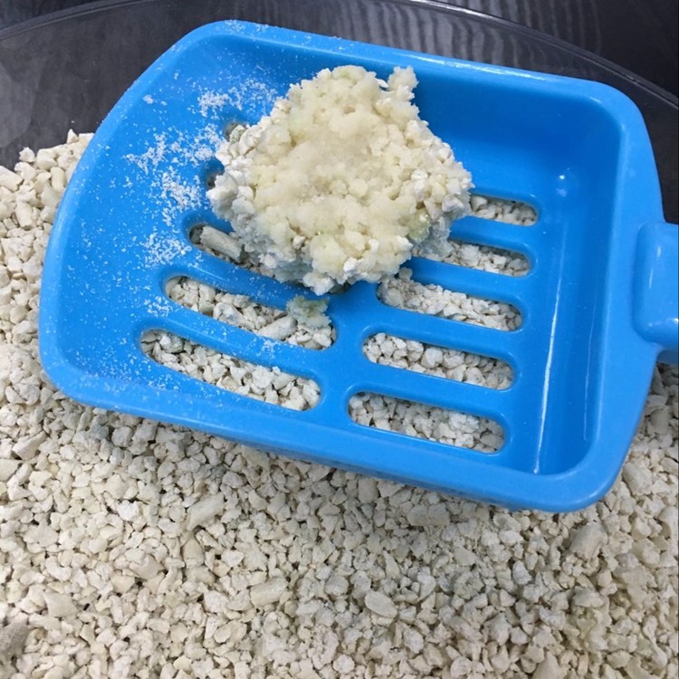 tofu cat litter factory.jpg